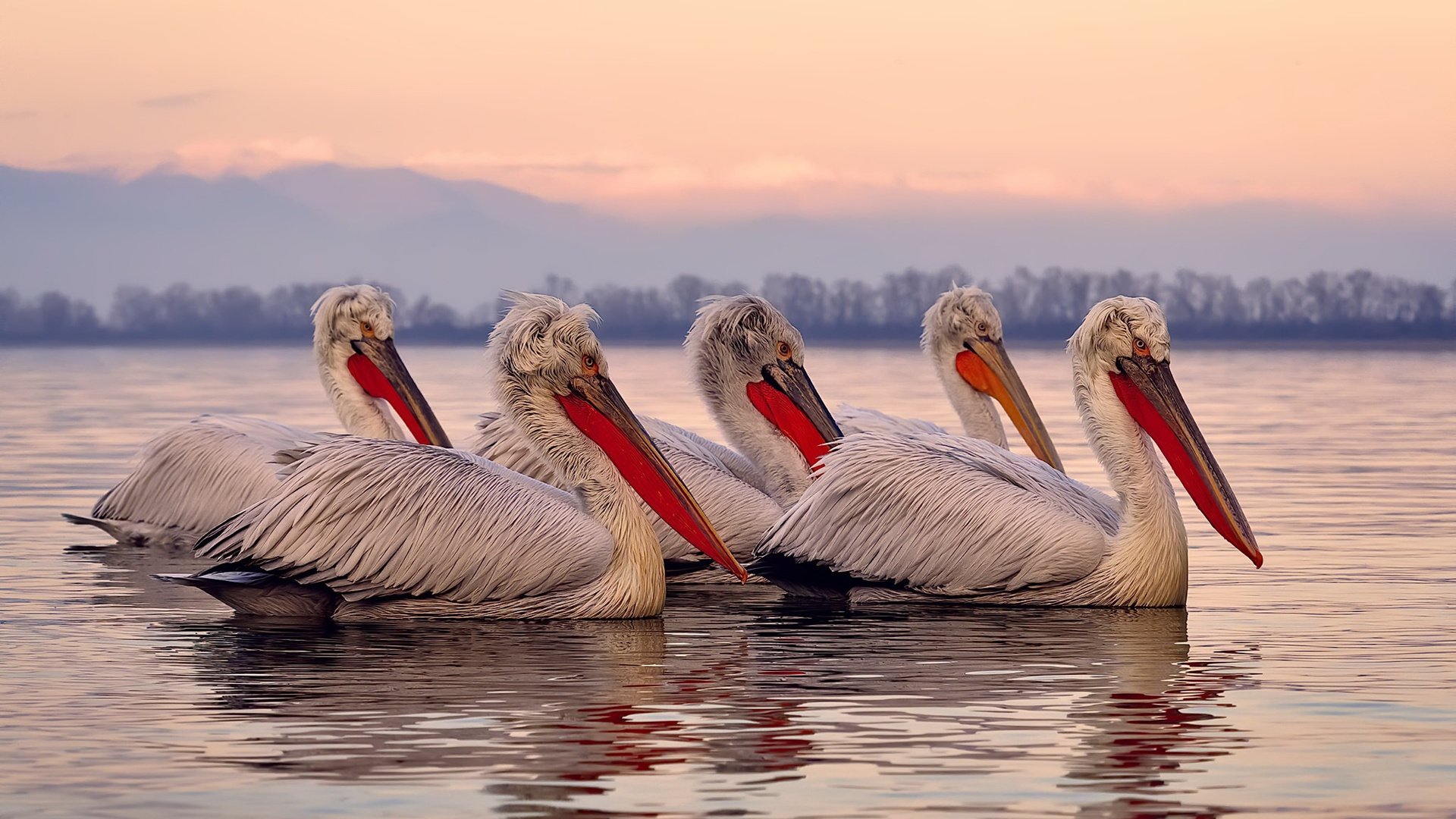 九游娱乐官网 (jiuyou)-“重返巅峰：曾经的冠军球队如何再创辉煌？”，重返巅峰2014